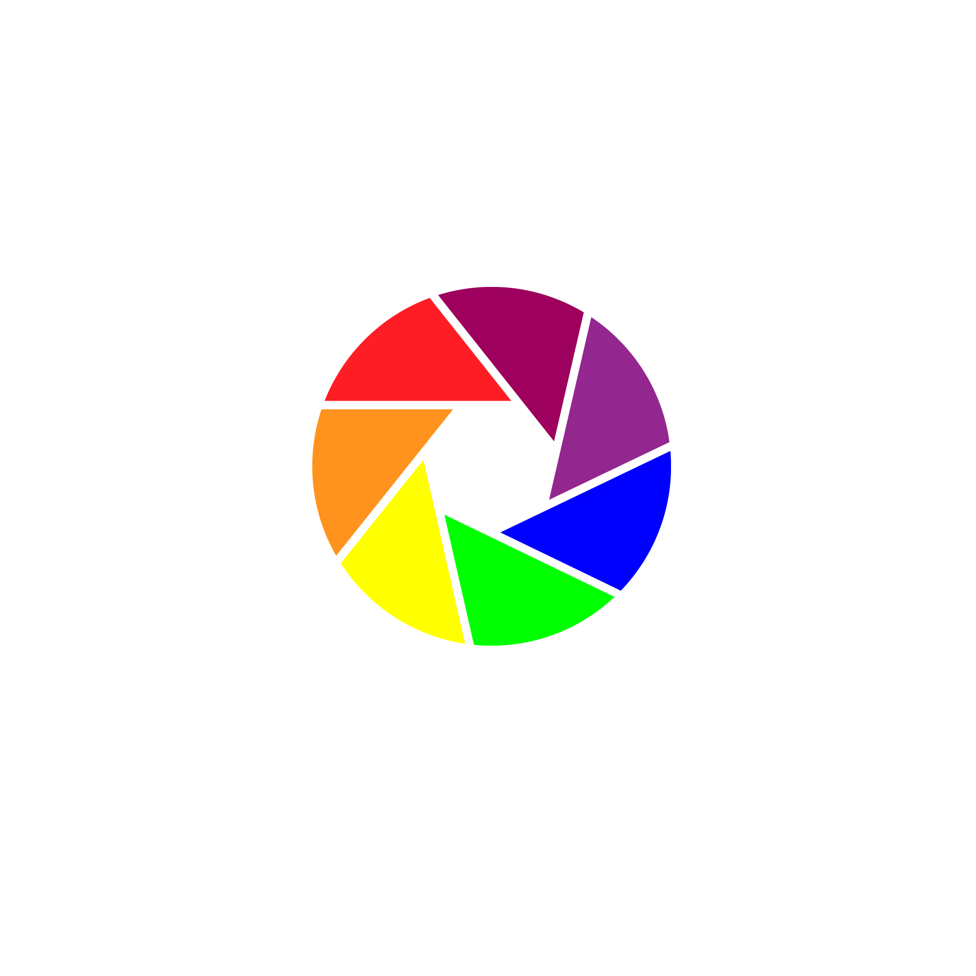 AmCam Logo